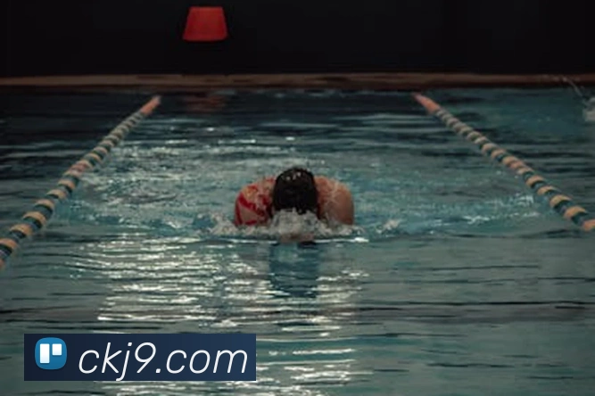 J9九游会发展历程